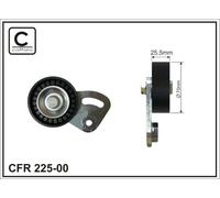 CAFFARO 225-00 Tendicinghia, Cinghia Poly-V per BMW,ROVER