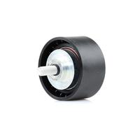 CAFFARO 251-112 Galoppino guidacinghia cinghia Poly-V 55mm per BMW X3 (E83)