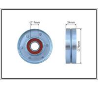 CAFFARO 253-00 Rullo tenditore, Cinghia Poly-V per VOLVO