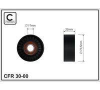 CAFFARO 30-00 Rullo tenditore, Cinghia Poly-V per FORD,MAZDA