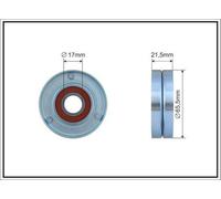 CAFFARO 304-00 Rullo tenditore cinghia Poly-V 66mm per VW Passat Variant (3C5)