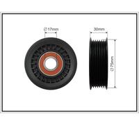 CAFFARO 463-00 Rullo tenditore, Cinghia Poly-V per JEEP
