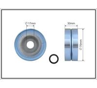 CAFFARO 496-99 Rullo tenditore, Cinghia Poly-V per HONDA