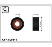CAFFARO 500341 Rullo tenditore cinghia Poly-V 55mm per BMW 1 Hatchback (F20)