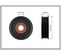 CAFFARO 86-00 Rullo tenditore, Cinghia Poly-V per OPEL,SAAB