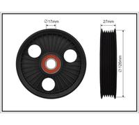 CAFFARO 91-00 Rullo tenditore, Cinghia Poly-V per PEUGEOT