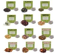 Caffè Vulcanus - Gli Infusi - Tè e Tisane in Cialde ESE 44mm (120 Cialde, 12 Gusti)