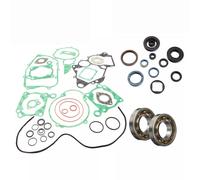 CAGIVA MITO REVISIONE MOTORE GUARNIZIONI + PARAOLI + CUSCINETTI BANCO SKF C4