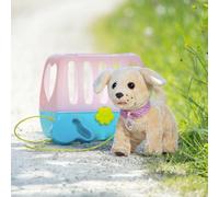 Cagnolino allegro con box di trasporto