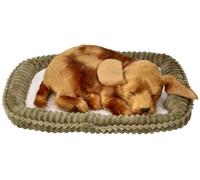 Cagnolino di peluche che respira da adottare