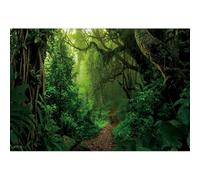 Caheansi 5x3ft Foresta Sfondo Verde Foresta pluviale Tropicale Alberi giungla Alberi Montagna Percorso Natura Paesaggio Sfondo per Fotografia Baby Shower Bambino Festa di Compleanno Cabina Fotografica