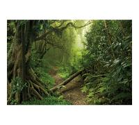 Caheansi 5x3ft Foresta Sfondo Verde Foresta pluviale Tropicale Alberi Giungla Alberi Montagne Luce Del Sole Percorso Natura Paesaggio Fotografia Sfondo Baby Shower Bambino Festa Di Compleanno Cabina