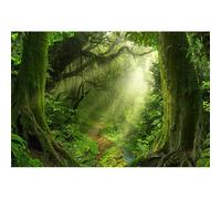 Caheansi Sfondo foresta pluviale verde scuro 1,5 x 0,9 m, giungla, montagna, luce del sole, paesaggio naturale, sfondo per fotografia baby shower, festa di compleanno, sessione