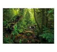 Caheansi Sfondo foresta pluviale verde scuro 3x2m giungla roccia, montagna, ruscello, luce del sole, paesaggio naturale, sfondo per fotografia, baby shower, festa