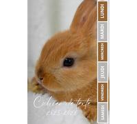 CAHIER DE TEXTE 2025 2026 LAPIN: Pour filles et garçons| Pratique pour toutes les matières ; format A5 avec coloriage thème rentrée scolaire