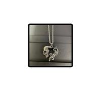 Caiguoer Gothic Black Crystal Collana Pendente Cuore Collana Argento Cranio Rose Collana Halloween Accessori per Donne e Uomini (B)