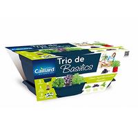 Caillard PFCW16255 basilischi Planter Trio 40 x 21 x 17 cm