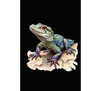 CAIMAN LIZARD: ANIMALS OF THE WORLD, Positive Affirmation, Motivational and Inspirational Notebook, Animal Notebook, Birthday Gifts, Motivational Gifts, Notebook Gifts, Anniversary Gifts, For All...