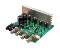CAIONPLE Scheda di amplificazione a 2 canali OK200 W, 4 - 8 Ohm, doppio gruppo AC18 - 26 V, 2 canali, pronto a
