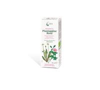 MACERATO PIANTAGG R BIO GTT