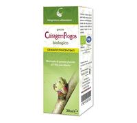 Cairagem flogos gemmoderivato bio gocce 30 ml