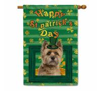 Cairn Terrier Dog Happy St.Patrick's Day bandiera casa trifoglio trifoglio monete oro striscia verde primavera vacanze decorazione banner per cortile esterno doppio lato 71 x 101 cm