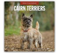 Cairn Terriers - Cairn Terrier 2026 - 16-Monatskalender: Original Red Robin Publishing Ltd-Kalender [Mehrsprachig] [Kalender]