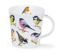 Cairngorm Song Bird Willow tazza
