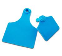 Caisley PRIMAFLEX - misura 3 neutra 90x62mm 25 pezzi in busta, non etichettati nessuna dimensione blu