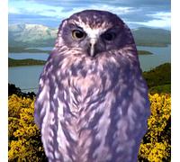 Cakekitchen, the - Stories for Late at Night [Import]