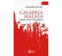 Calabria malata. Sanità, l'altra 'ndrangheta