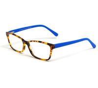 Calabria Viv 838 Vivid Occhiali Da Lettura Blu Tartaruga Havana Marrone Oro