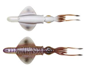 CALAMARO JIGGING SAVAGE GEAR RTF 3D CERNIA DENTICE RICCIOLA