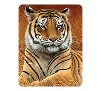 Calamita 3D LiveLife - Distaccato di Deluxebase. Calamita da Frigorifero 3D Lenticolare con Tigre. Decorazioni magnetiche per bambini e adulti con opera d'arte del celebre artista Jeremy Paul