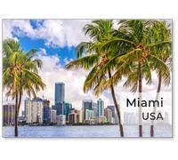 Calamita da frigorifero Miami, Florida, USA