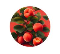 Calamite da frigorifero con albicocca rossa, adatte per lavagne, frigoriferi e oggetti decorativi