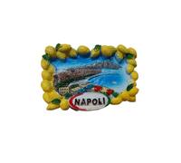 calamite frigorifero napoli.calamite in resina napoli (napoli 9)