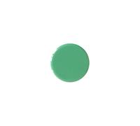 Calamite per lavagne magnetiche da 20mm - 10 pezzi VERDE