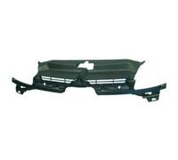 Calandra Griglia Mascherina C4 04-09