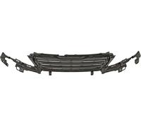 Calandra griglia radiatore 308 13-09.17 1610745280