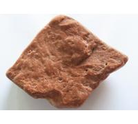Calcarea rossa del Mar Rosso (Giordania e Israele) 30 gr