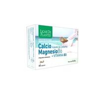Ligne De Plantes Calcio+Magnesio B6+Vitamina D3 Integratore Alimentare 60 Capsul