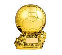 Calcio Pallone d'oro Trofeo Campione Trofeo Miglior Giocatore del Mondo MVP Shooter Awards Coppa del Mondo Replica Resina Artigianato Souvenir Regali,25CM-with Lettering Board