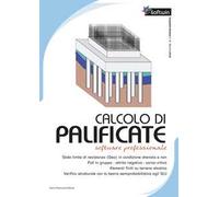 Calcolo di palificate. Software professional