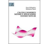 Calcolo numerico. Metodi ed applicazioni usando Matlab