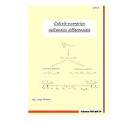 Calcolo numerico nell'analisi differeziale