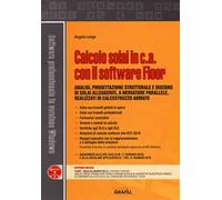 Calcolo solai in c.a. con il software Floor. Analisi, progettazione strutturale e disegno di solai alleggeriti, a nervature parallele, realizzati in calcestruzzo armato. Con software