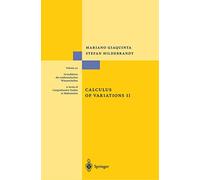 Calculus of Variations II: The Hamiltonian Formalism: 311