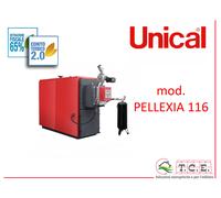 Caldaia a pellet UNICAL mod. PELLEXIA 160 - pellet boiler - potenza 143,8 kW