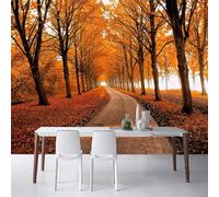 Caldo Bello Autunno Oro Bosco Di Aceri Strada 3D Carta Da Parati Facile Installare Mobili Sfondi Ufficio Divano Camera Letto Sfondo Decorazione Murale-150cm×105cm